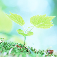ゴルフで100を切るには〜坂本健@ゴルフ80台マネジメント〜